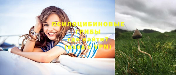 мдпв Михайлов