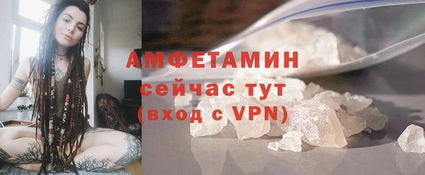 мдпв Михайлов