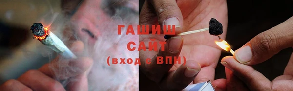 мдпв Михайлов