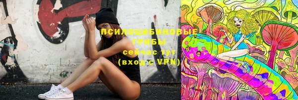 прущий лед Михайловка