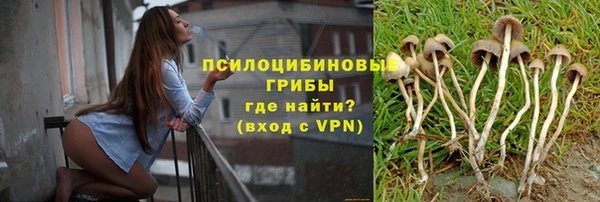 мдпв Михайлов