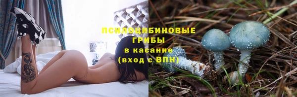 a pvp Михайловск