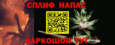 сатива Бийск