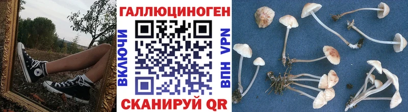Псилоцибиновые грибы GOLDEN TEACHER  где можно купить   Россошь 