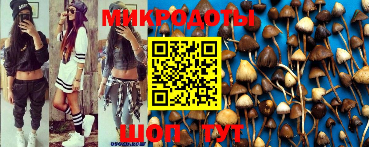 Галлюциногенные грибы Psilocybe Россошь