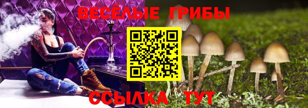 цена наркотик  Псилоцибиновые грибы Cubensis  Вход с VPN  Россошь  Галлюциногенные грибы мицелий 